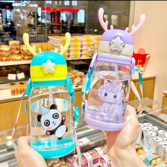 Straw Water Bottle